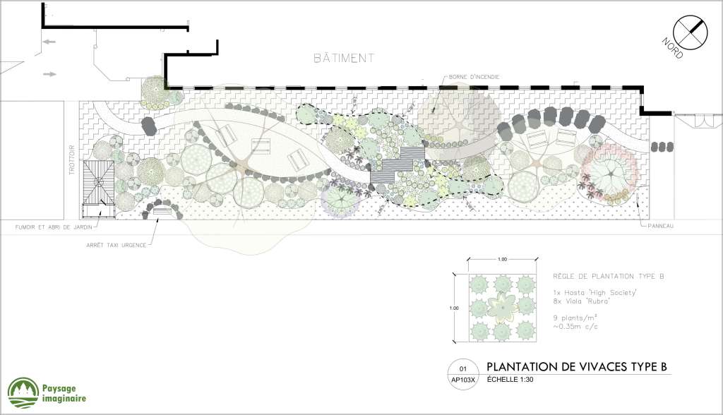 Plan d’aménagement paysager d'un jardin japonais incluant sentiers de poussière de pierre, noues paysagères, rochers décoratifs, pierres plates naturelles, ainsi qu'un agrandissement technique d'un détail de plantation